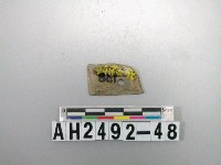 藏品(磨製玉器殘件)的圖片